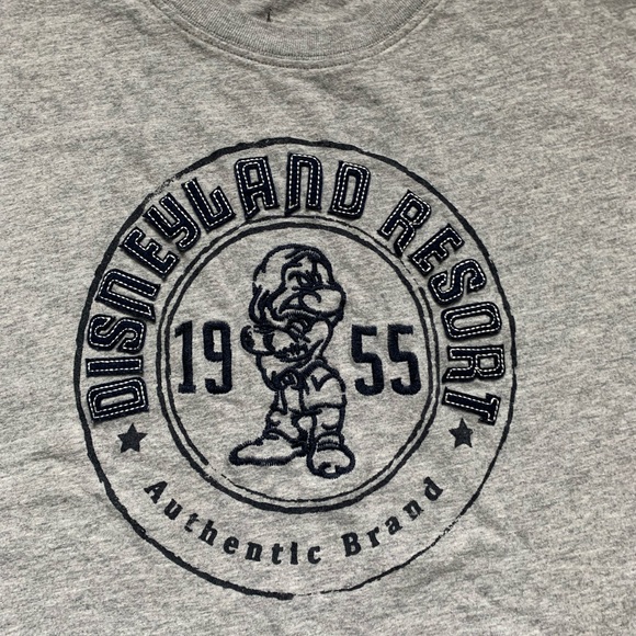 Lot Of 2‎ Tank Tops, Disneyland Resort L, Galveston M - Picture 5 of 10